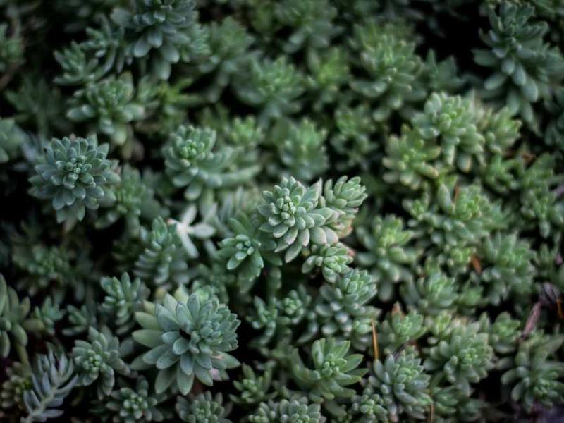 Common Mistakes to Avoid During ACP Sheet Installation