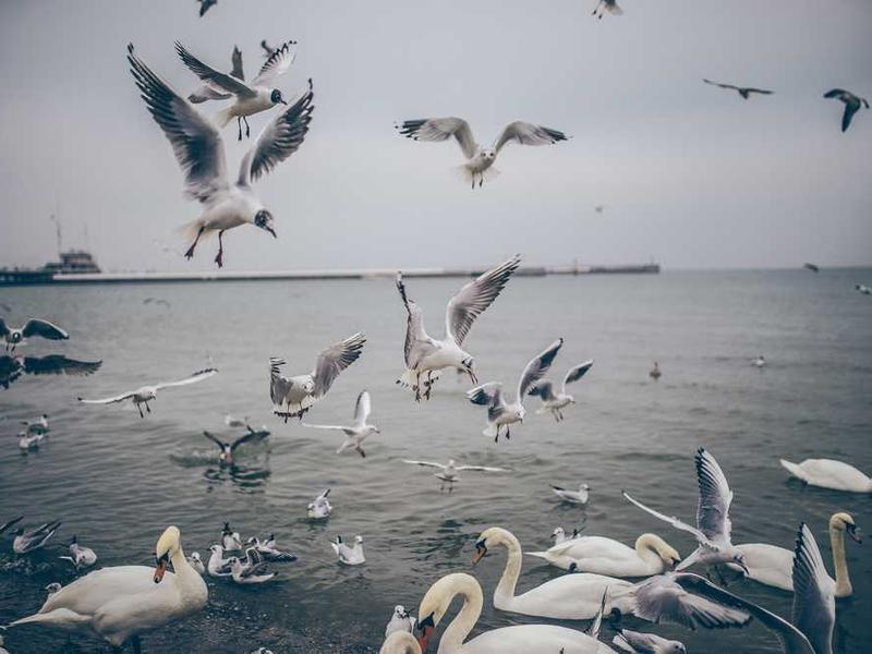 Why Jiva Bond ACP Sheets Are the Right Choice for Modern Construction