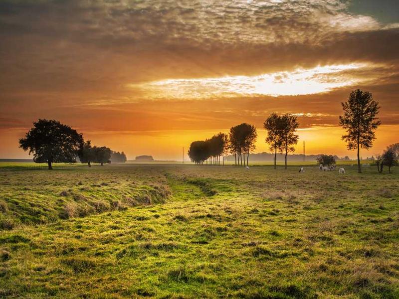 How ACP Sheets Improve Brand Image for Commercial Properties