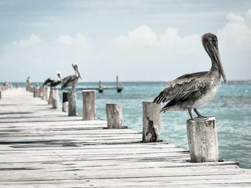 ROI-Focused Buying Guide for ACP Sheets