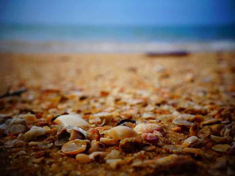 Red Flags to Watch Out for When Choosing ACP Sheet Suppliers