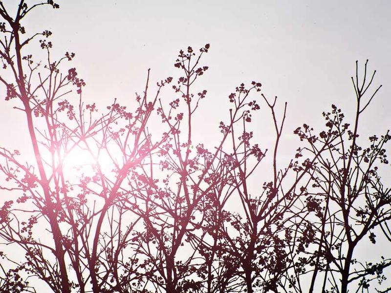 Common Buyer Mistakes When Purchasing ACP Sheets