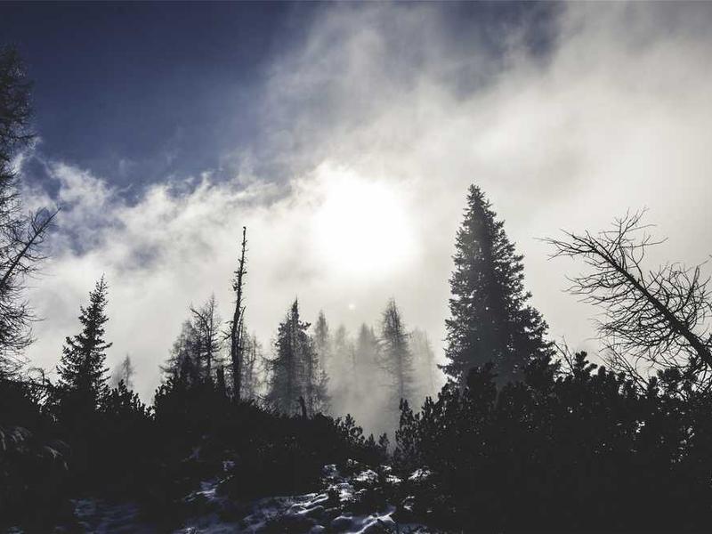 Creative ACP Sheet Color and Texture Combinations