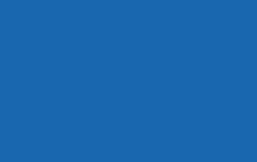 Vivo Blue